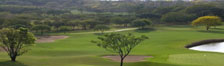 golfcourse.jpg